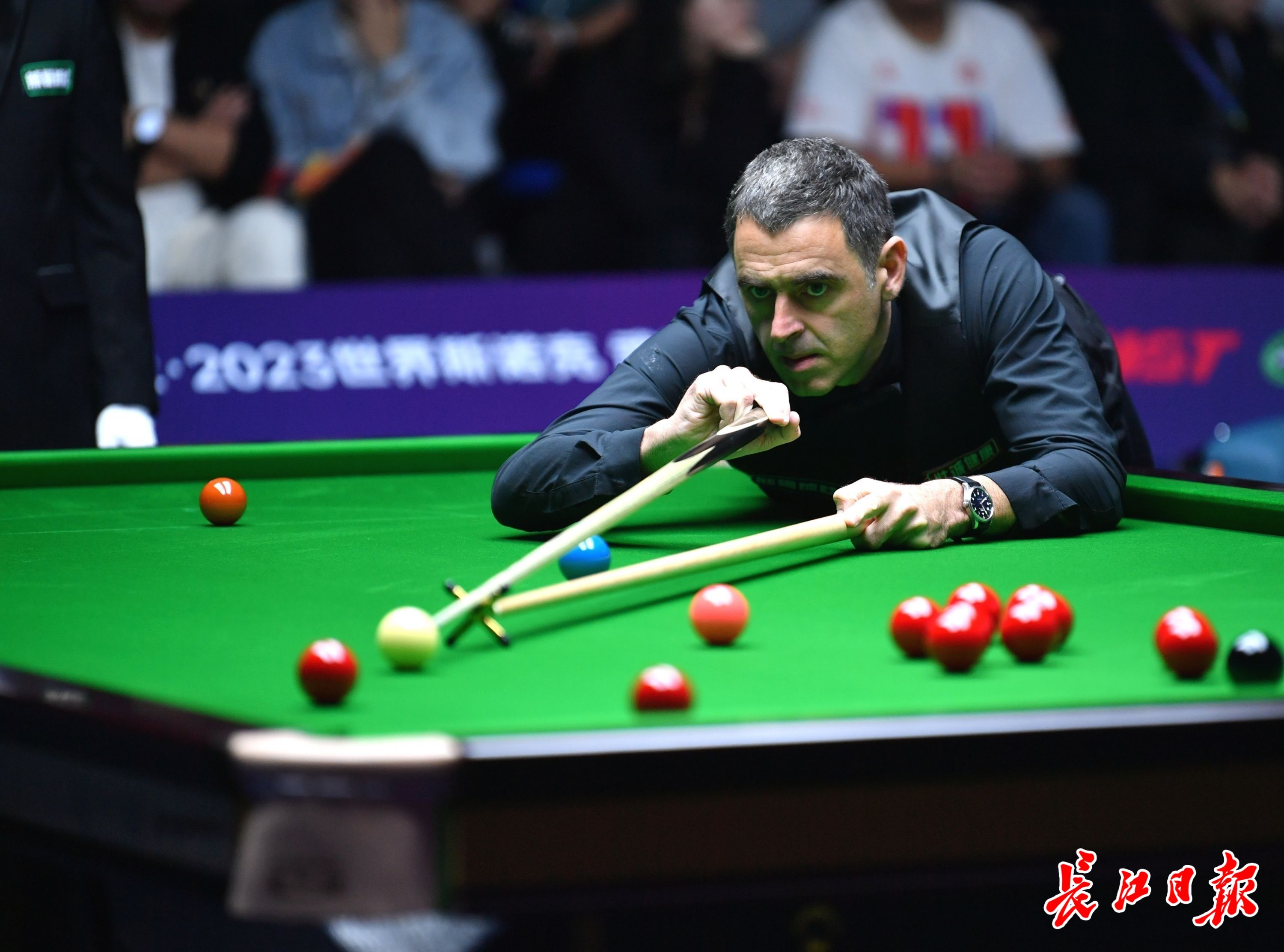 拜仁能否从 拜仁能否从